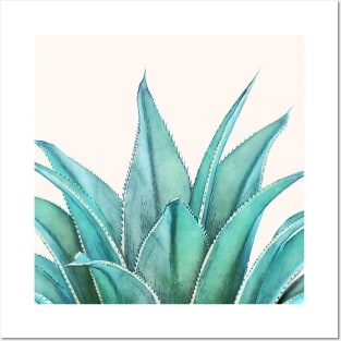 Agave Posters and Art